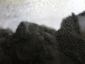 17d390.JPG