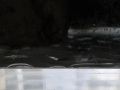 17d465.JPG